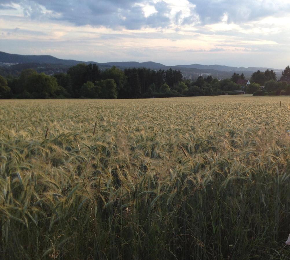 Lieblingsnest Detmold Daire Dış mekan fotoğraf